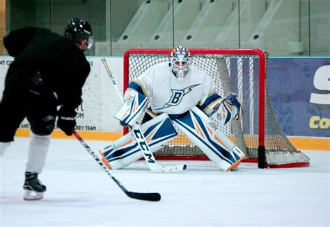 Vibrant Hockey League: Uma Sinfonia de Gelo e Paixão em Pistas Virtuais!